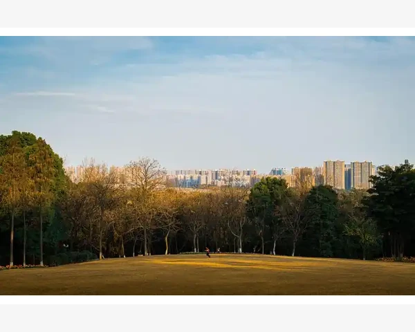 秋季养生，脾胃为重—隔水炖盅食谱养脾胃指南